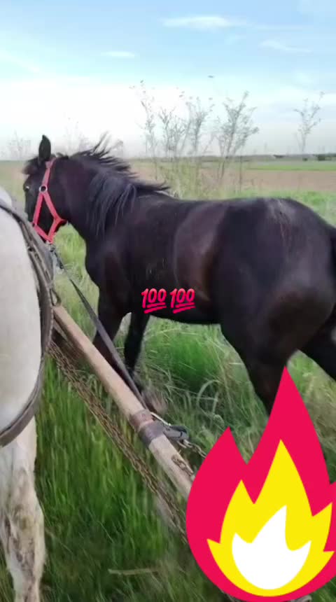 @Jan