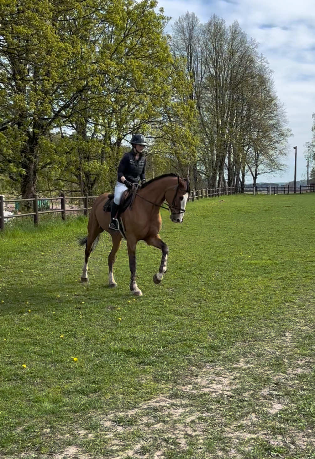@hedda.equi