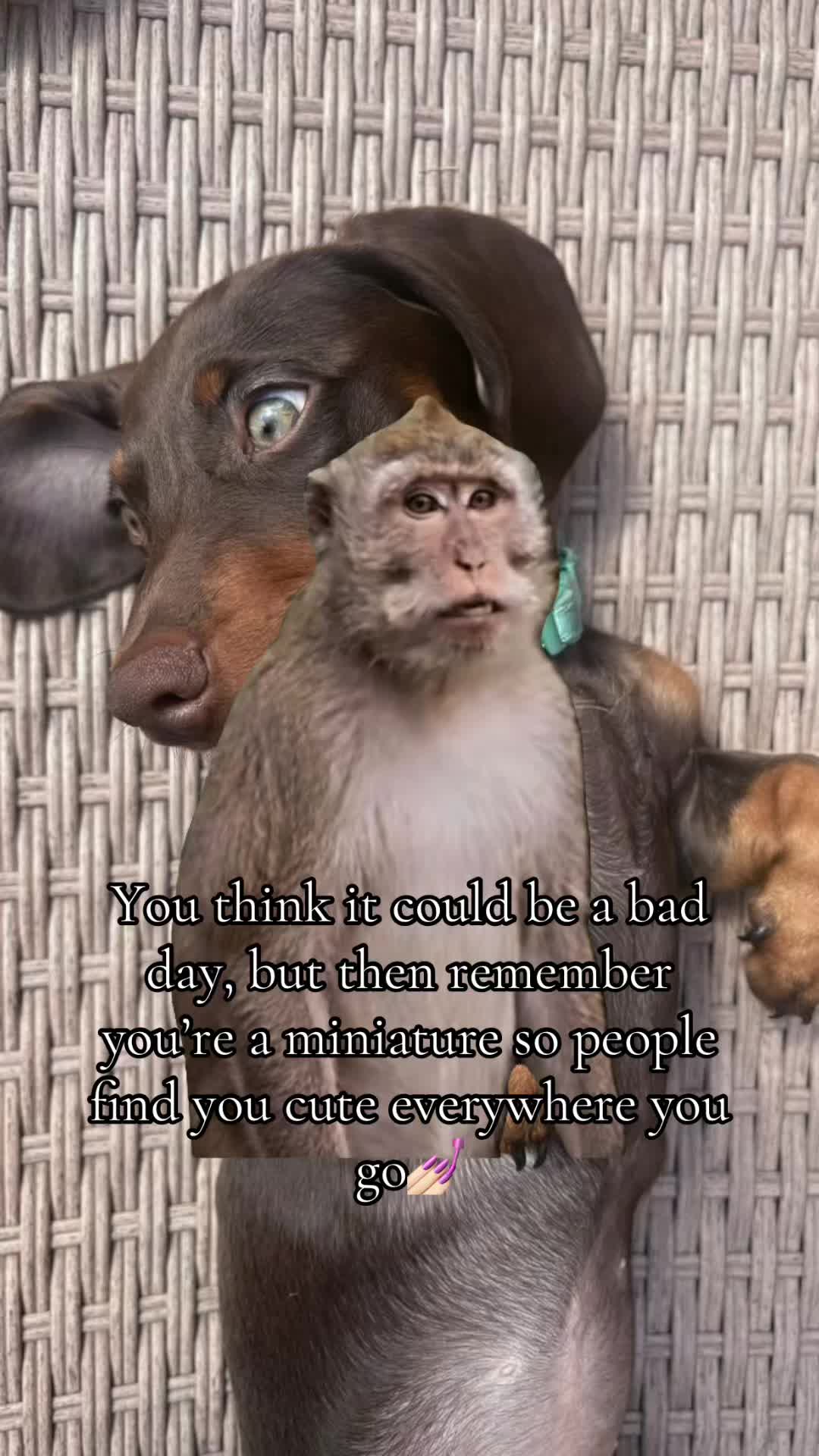 @Lennietheminiature