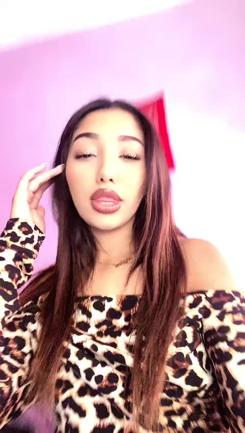 @777🐆