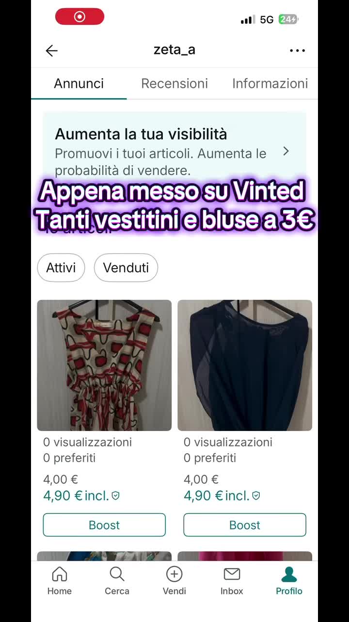 @vinted_zeta_a