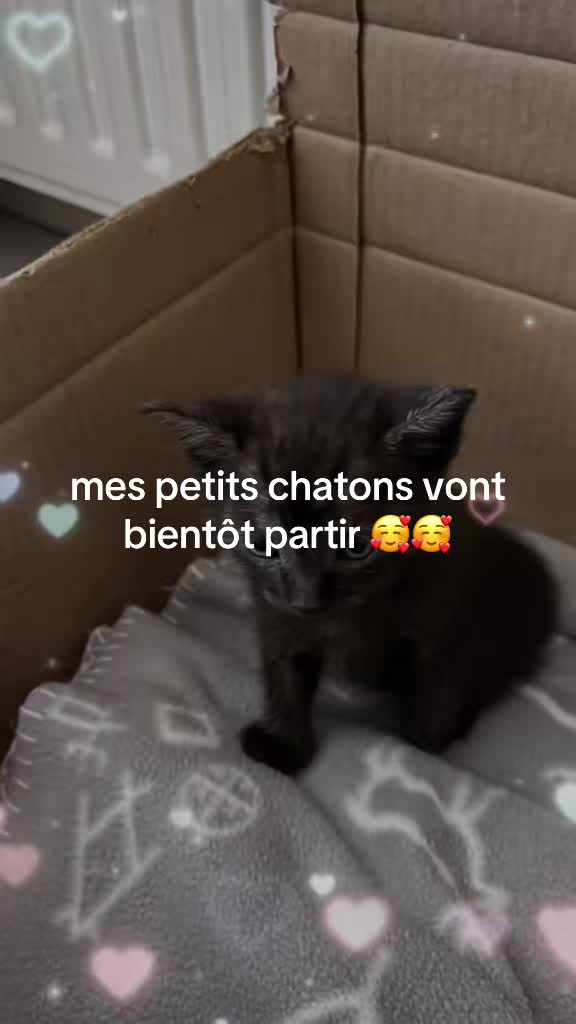 @🧡NATH🧡