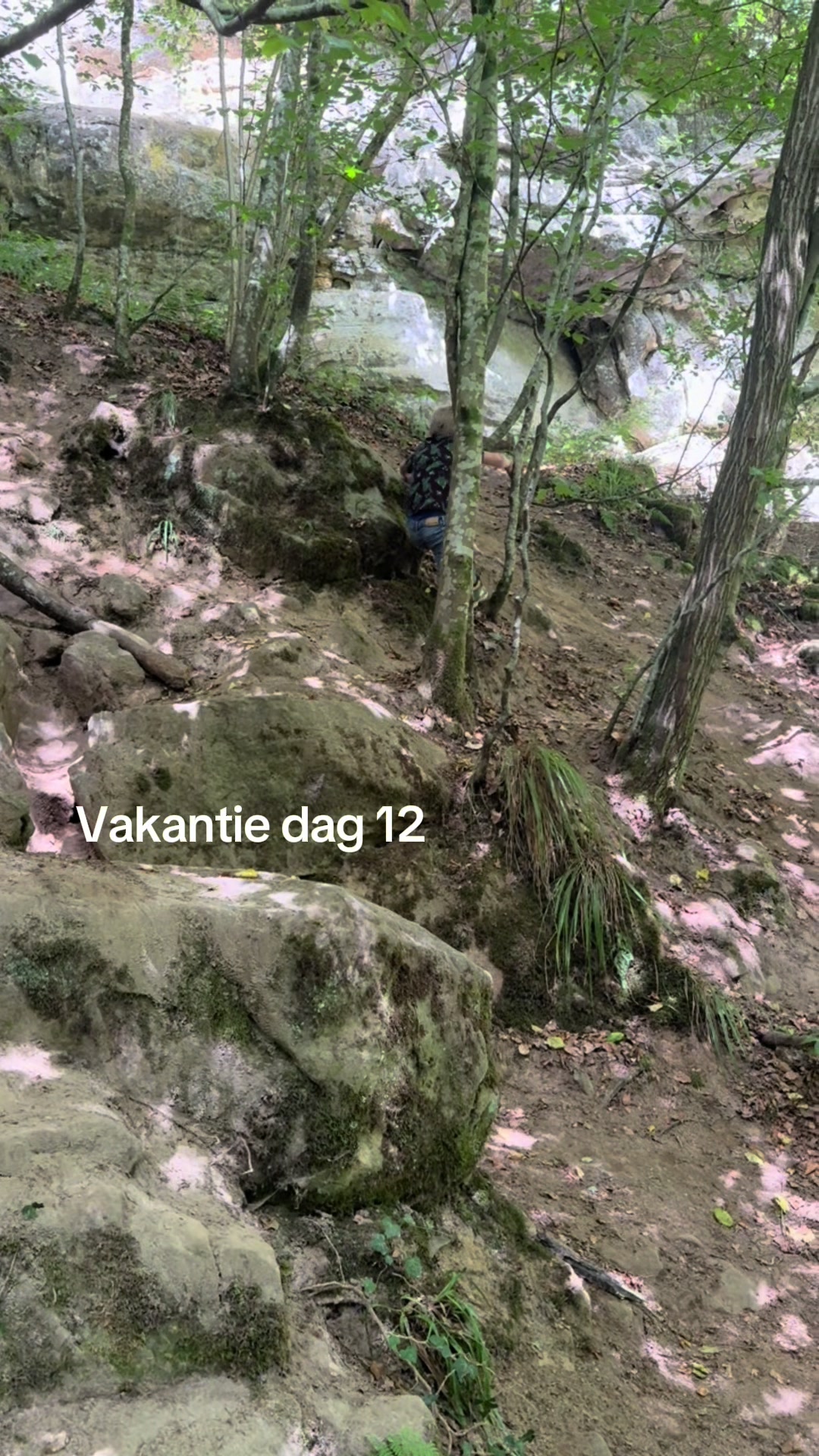 @Het Eifel Verbouwhuis