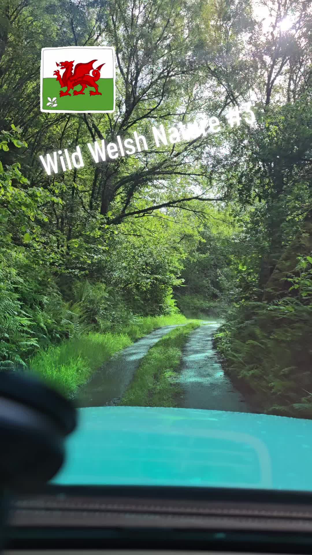 @mariuszmwm