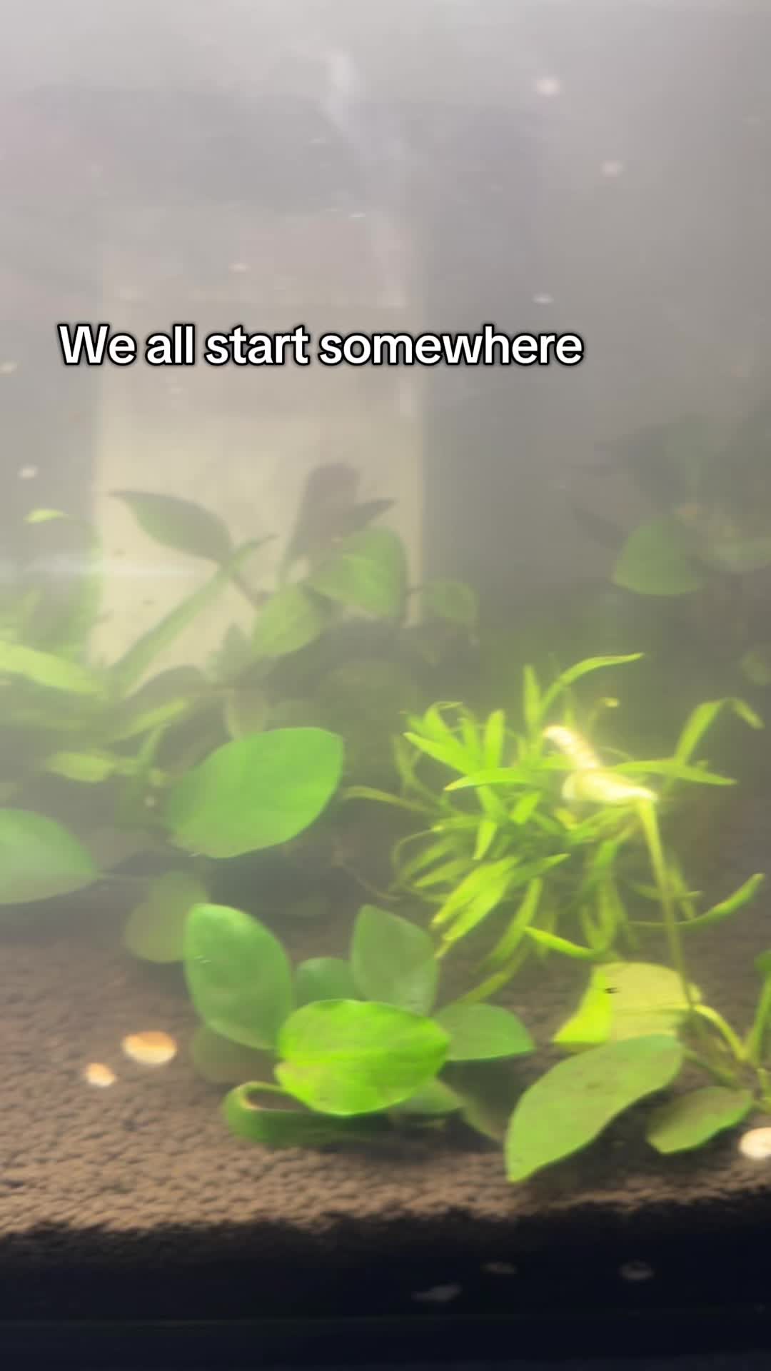 @ClearWater