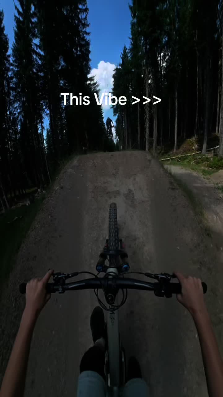 @Freeride_lion2
