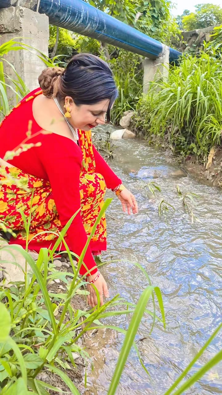 @Sarita Acharya