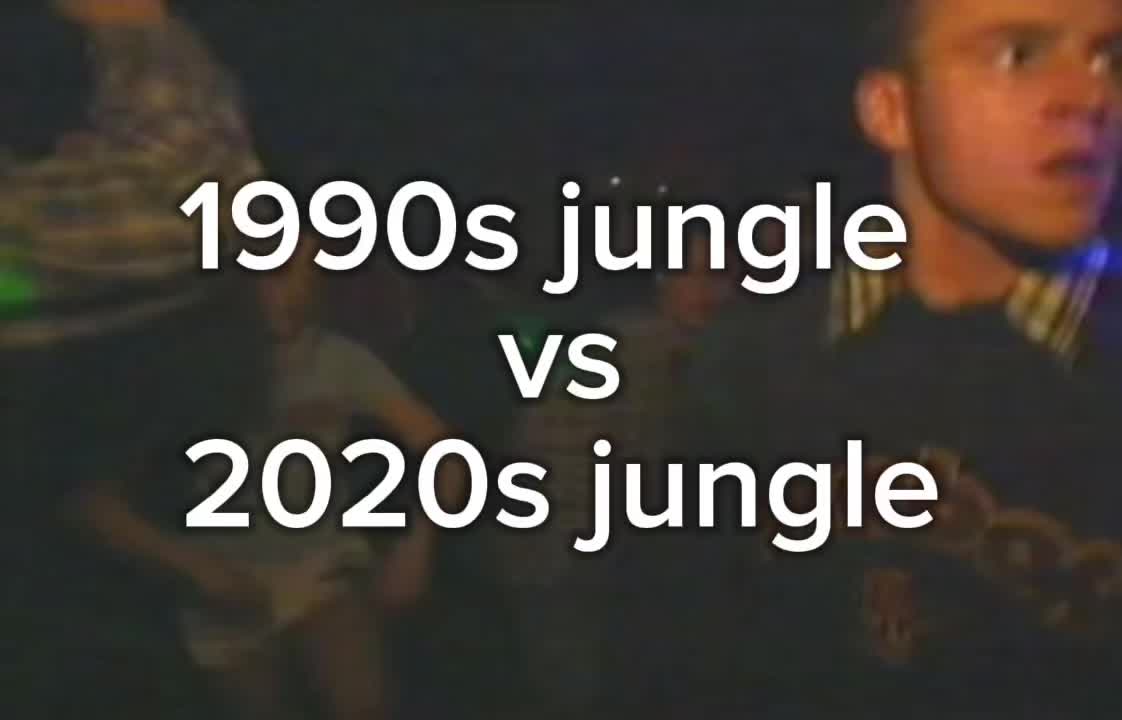 @jungle.tek