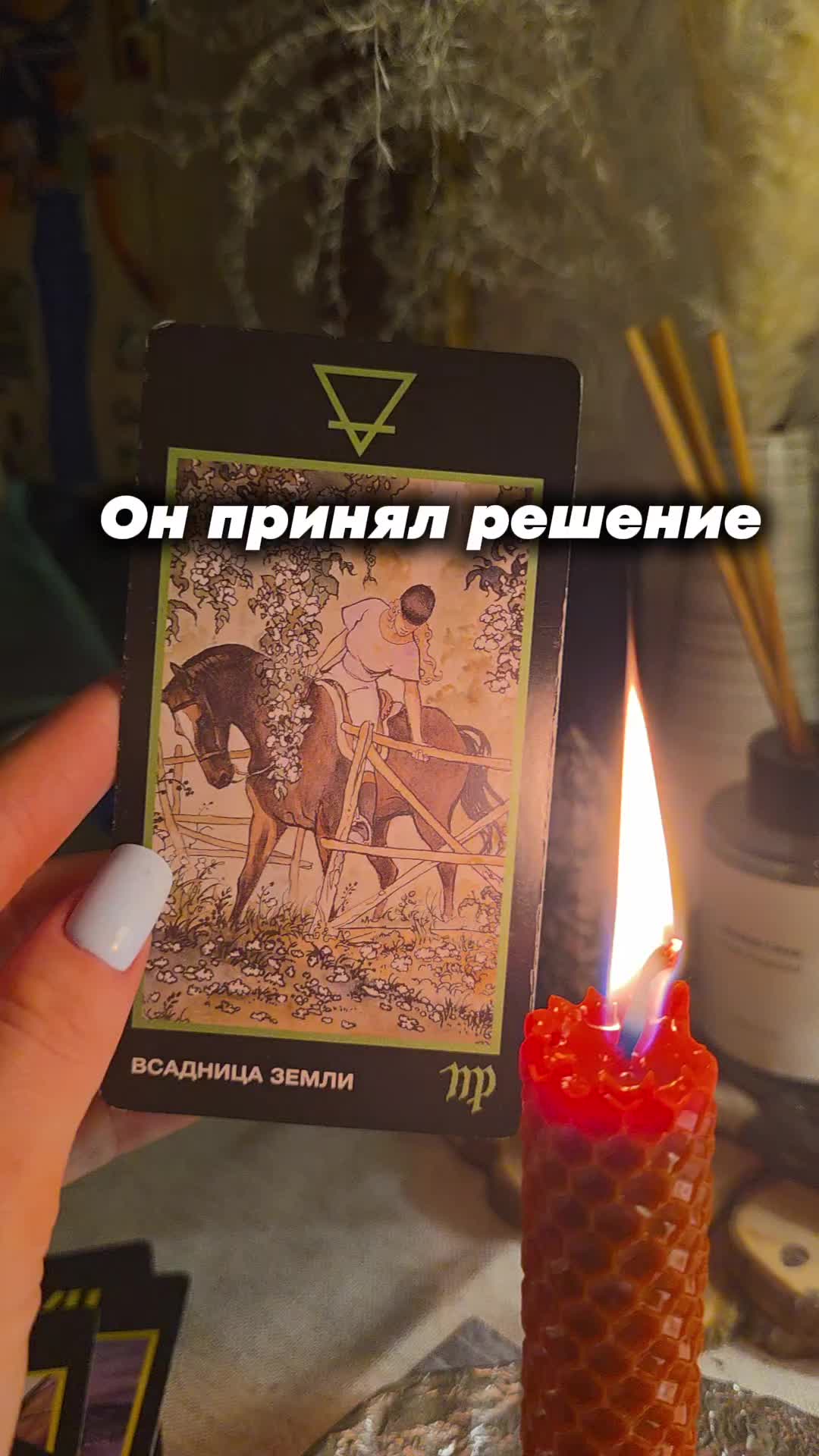 @aliceeback ~ магия жизни