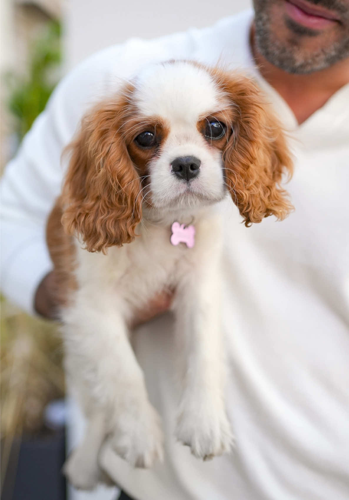 @Doggodaiily