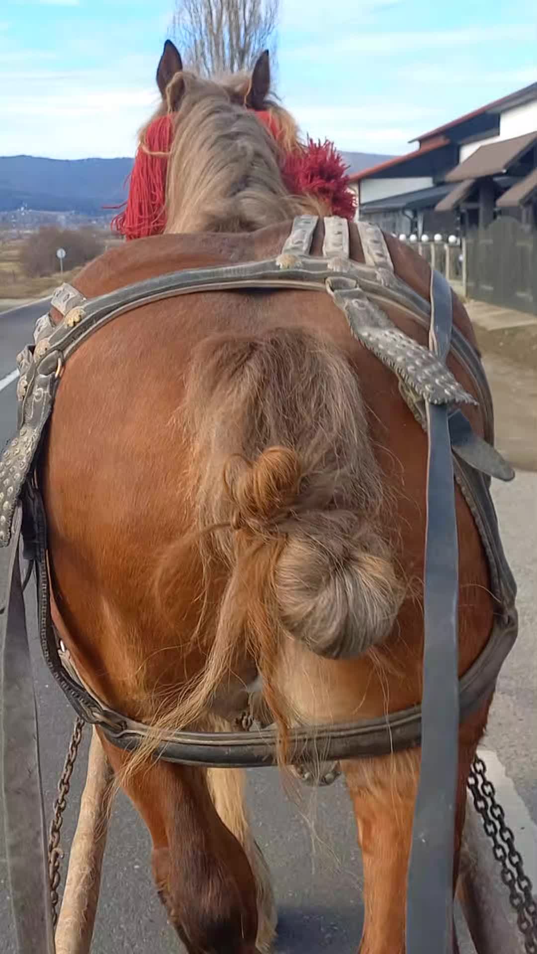 @Buga Ionuț