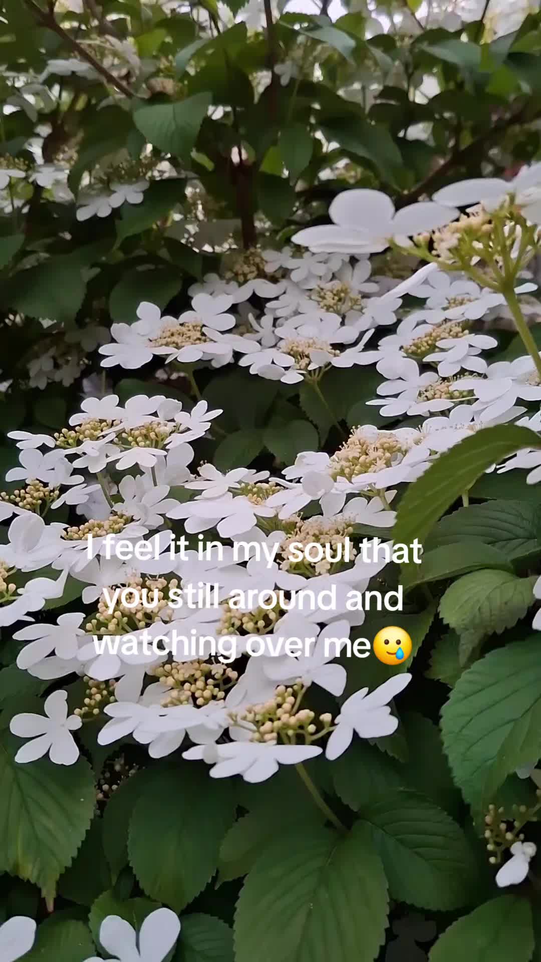 @lolagrams_05