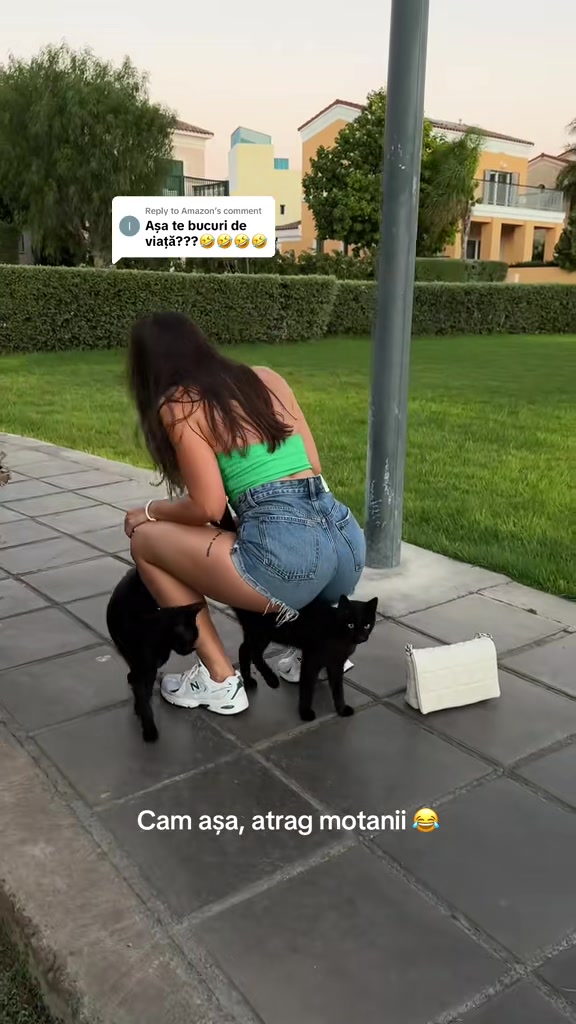 @dianaonisor