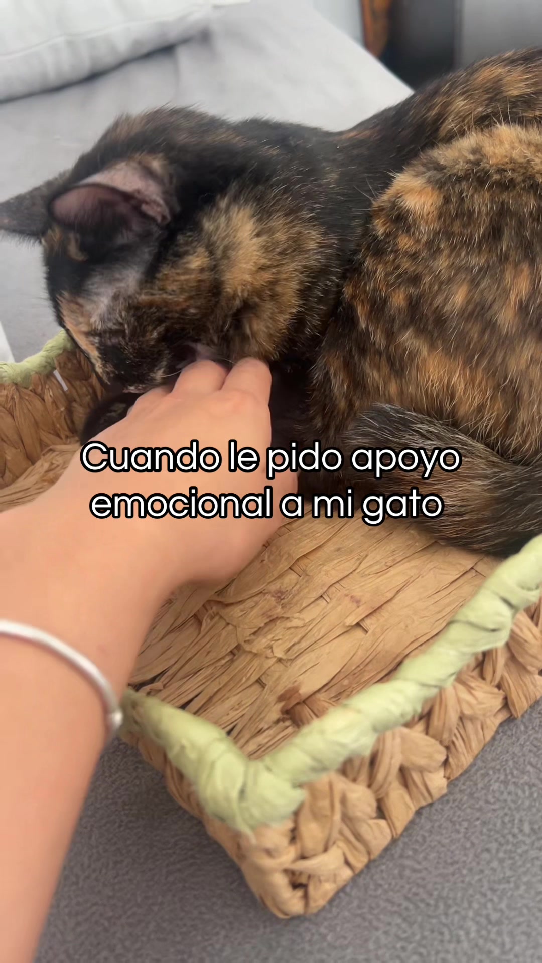 @Michi💖