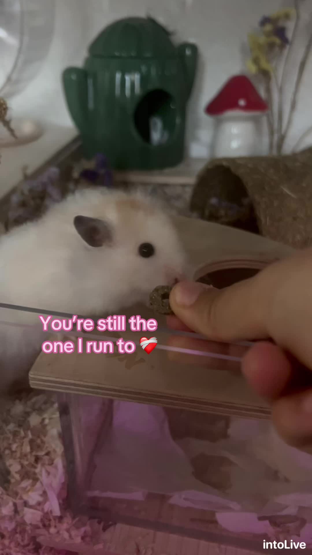 @Blaze🫶🏻
