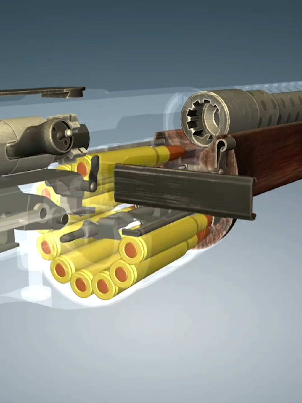 @Firearms History Hub