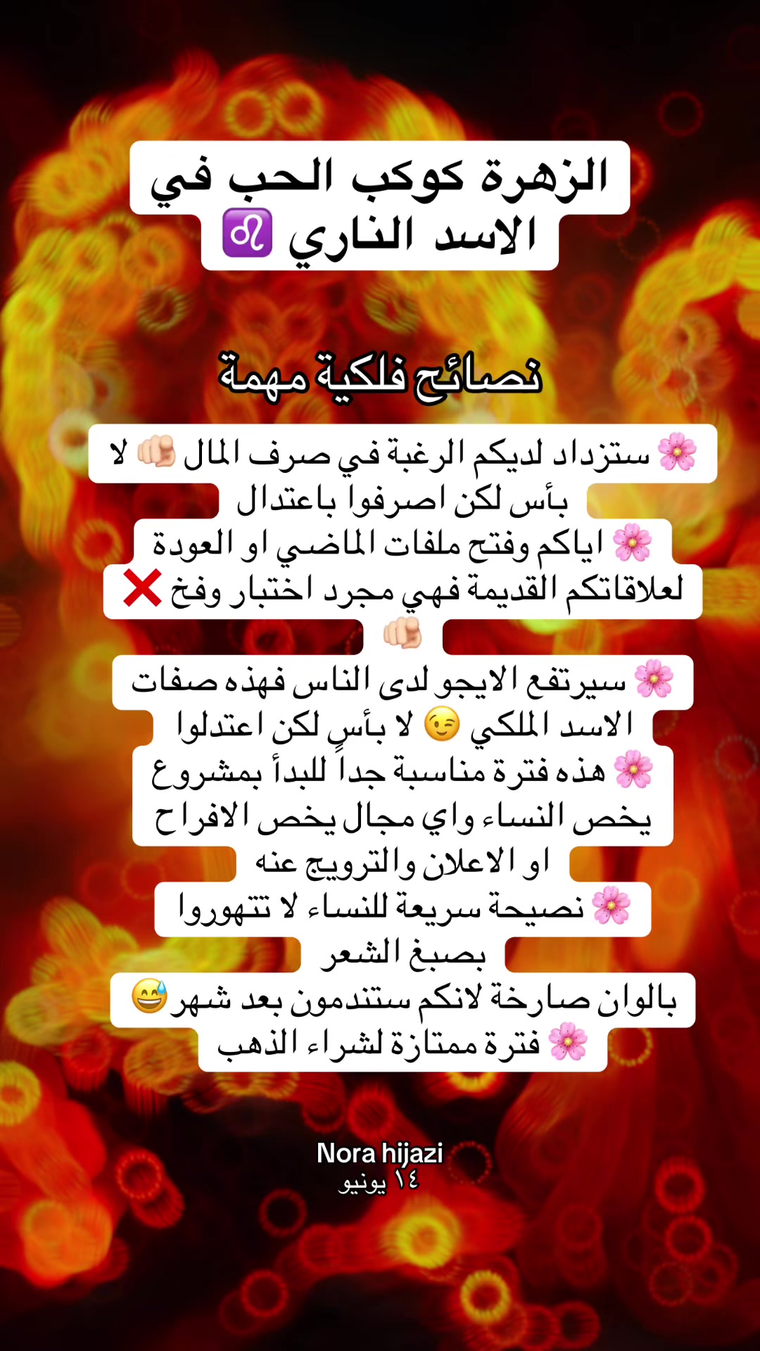 @💫 Nora Hijazi 💫