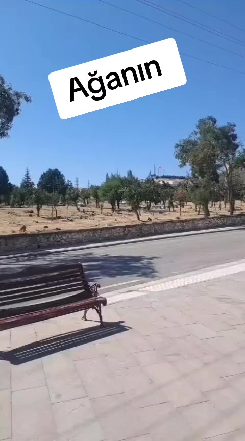 @kimbilir2610