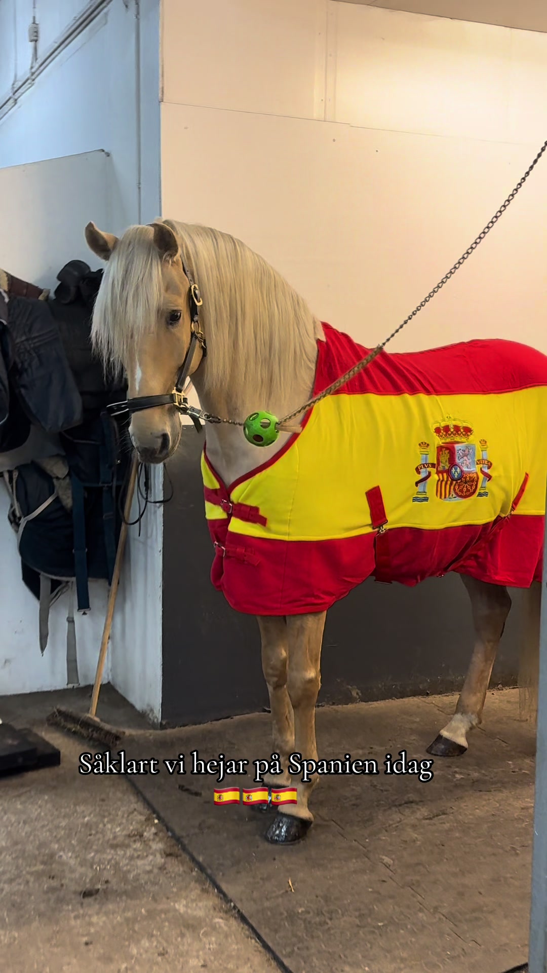 @Izabellasvarddressage