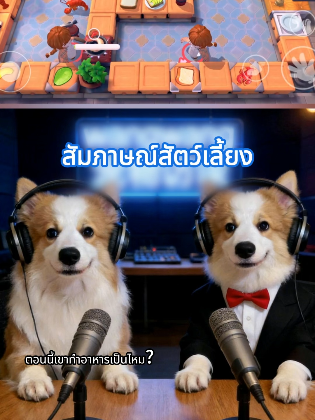 @สวยหมา