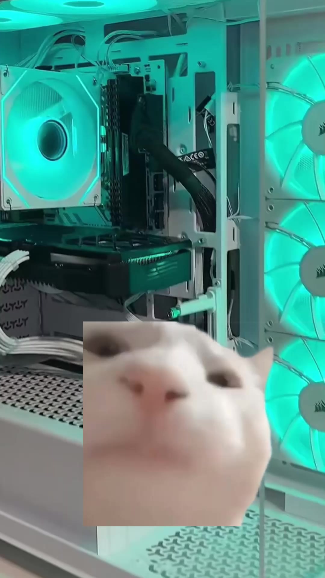 @SpinnyRgbThing