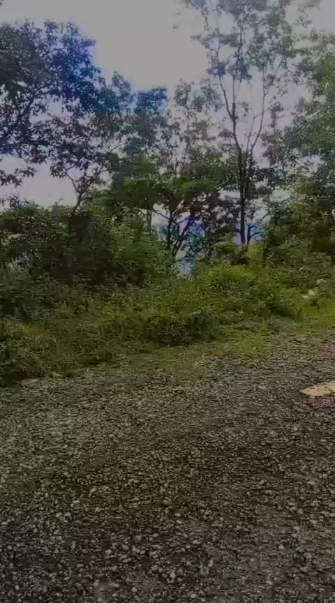 @𝓐𝓪𝓻𝔂𝓷  𝓢𝓱𝓪𝓴𝔂𝓪