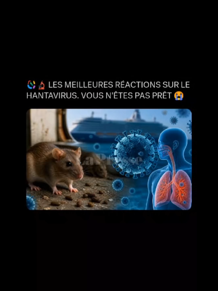 @Tweet X Reaction