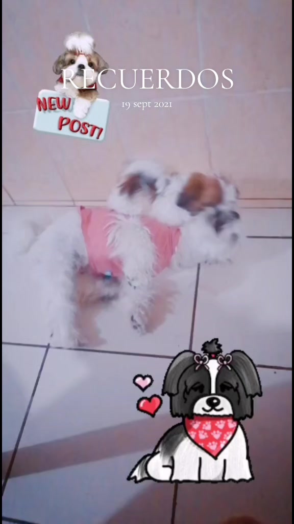 @🎀G&alpha;Ⴆ&iota;ɾ&upsilon;🎀