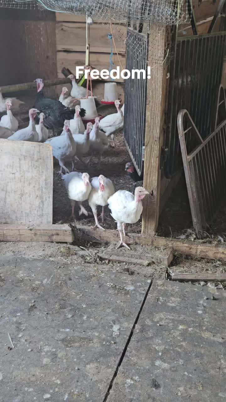 @Contraban Farms