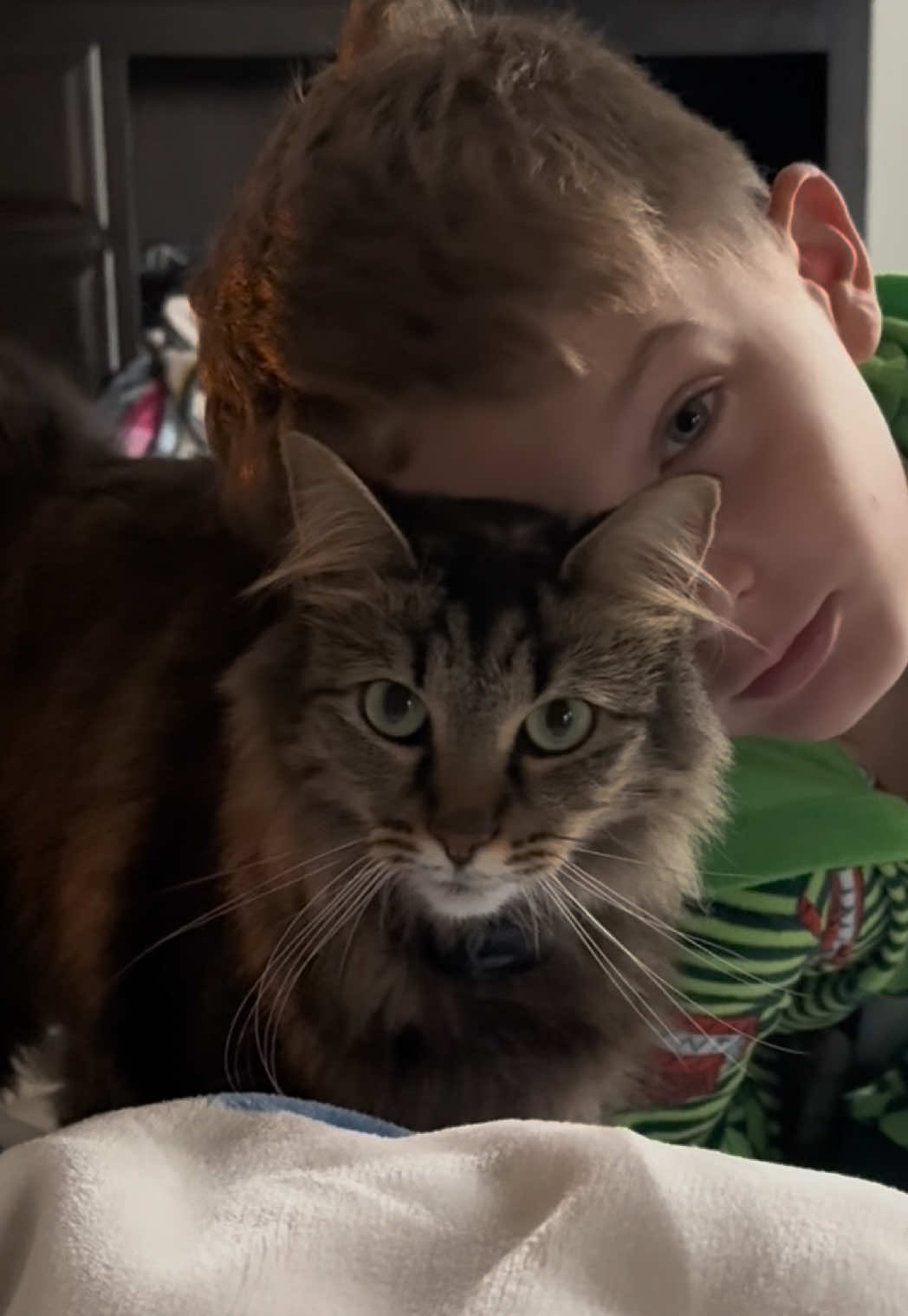 @RoxySnowballCatDrama