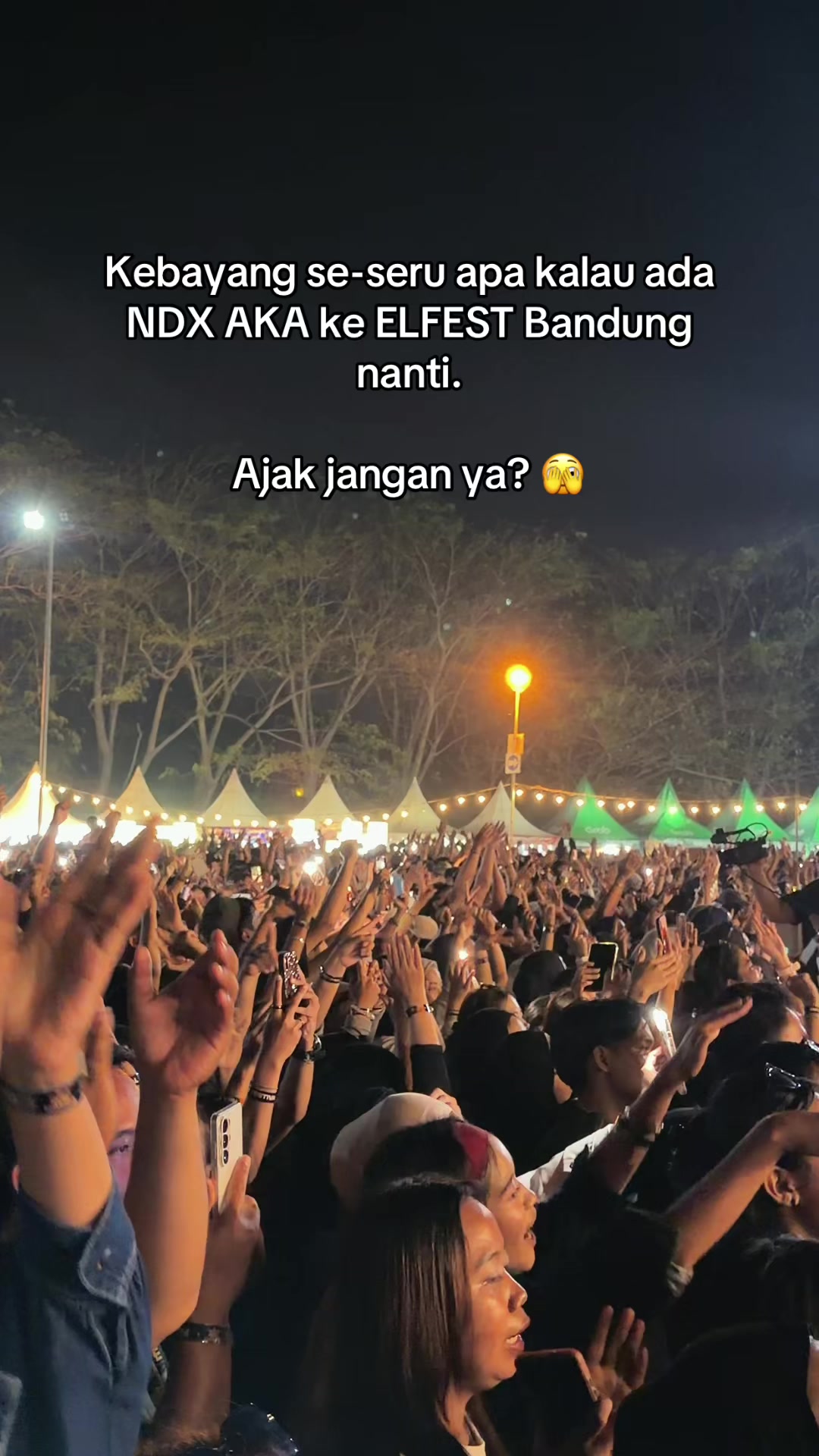 @Euphoria Life Festival