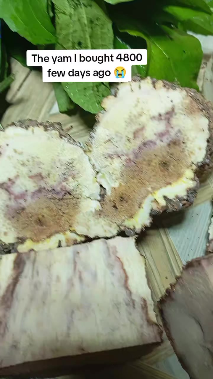 @Denwa74