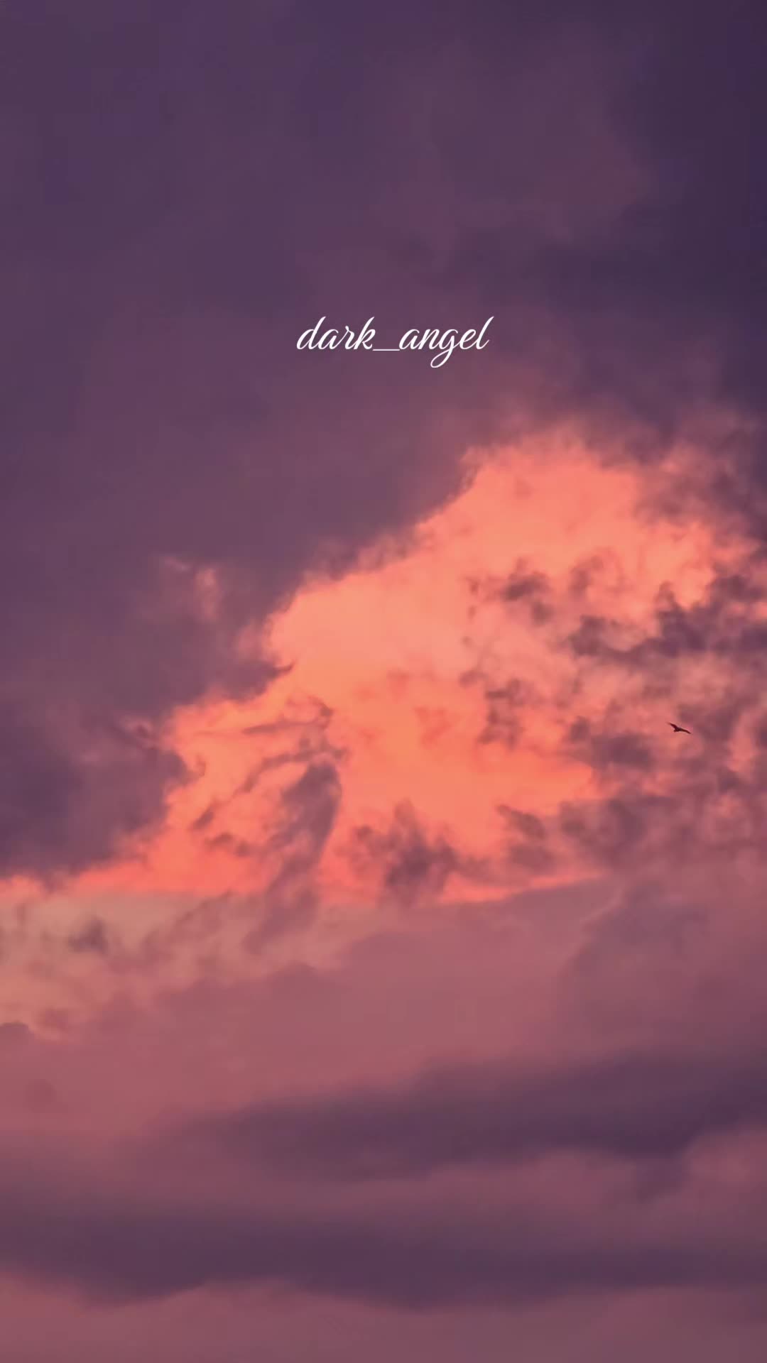 @Dark Angel