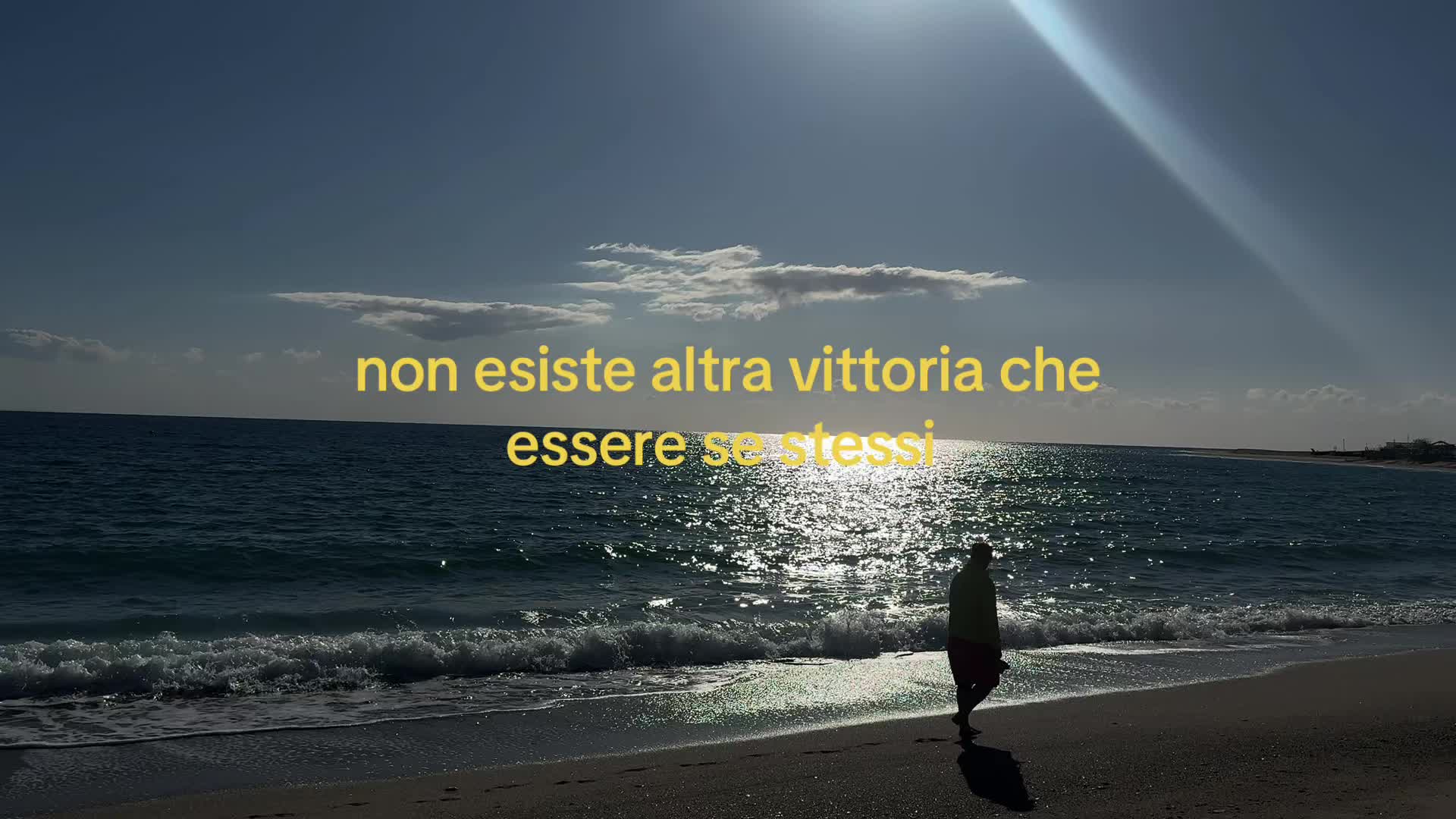 @⭐️⭐️⭐️