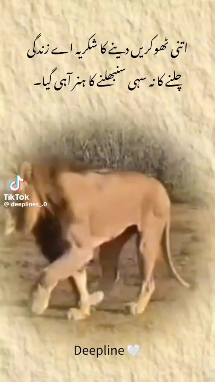@Roh e Sanam