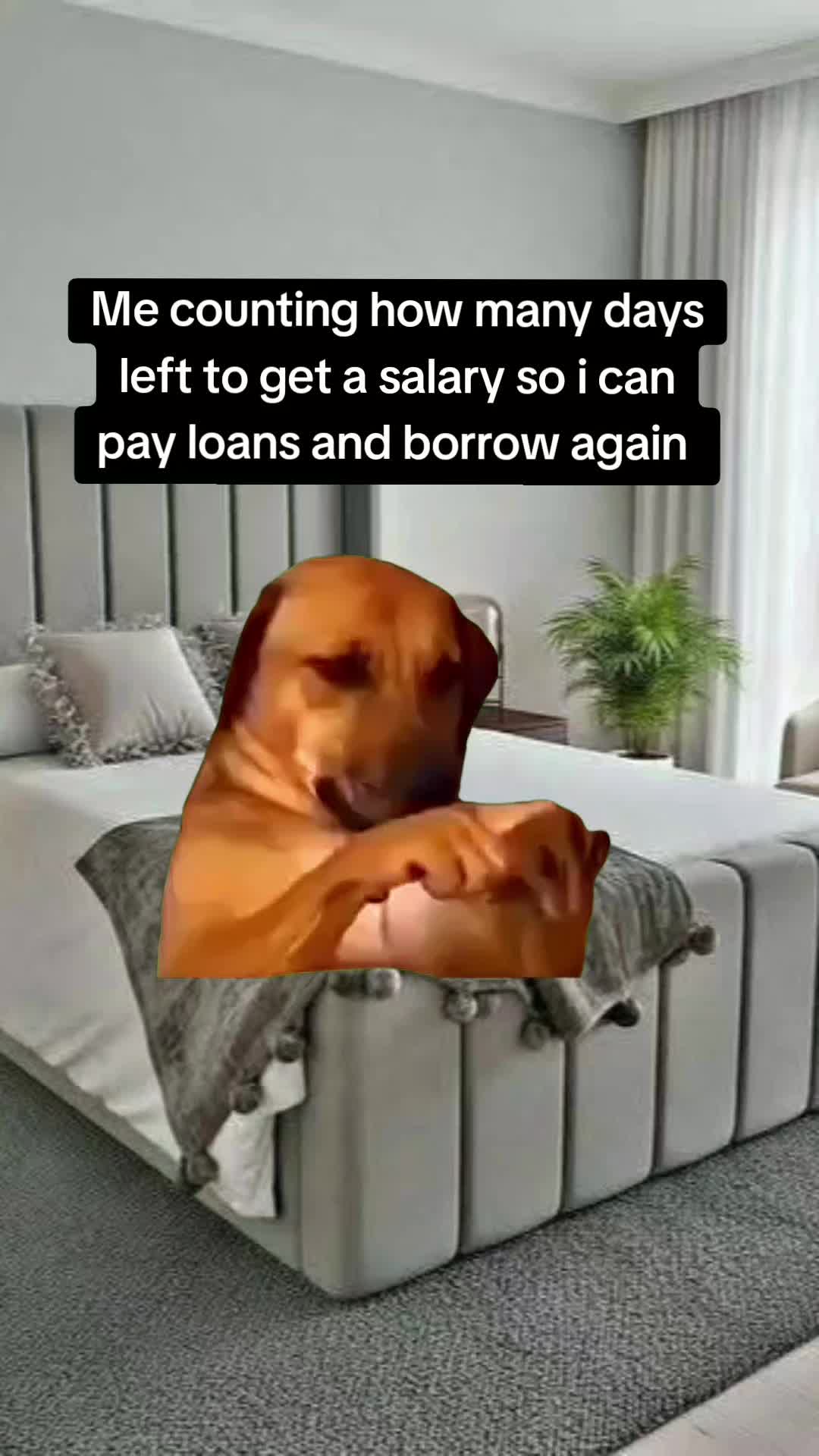 @Work memes