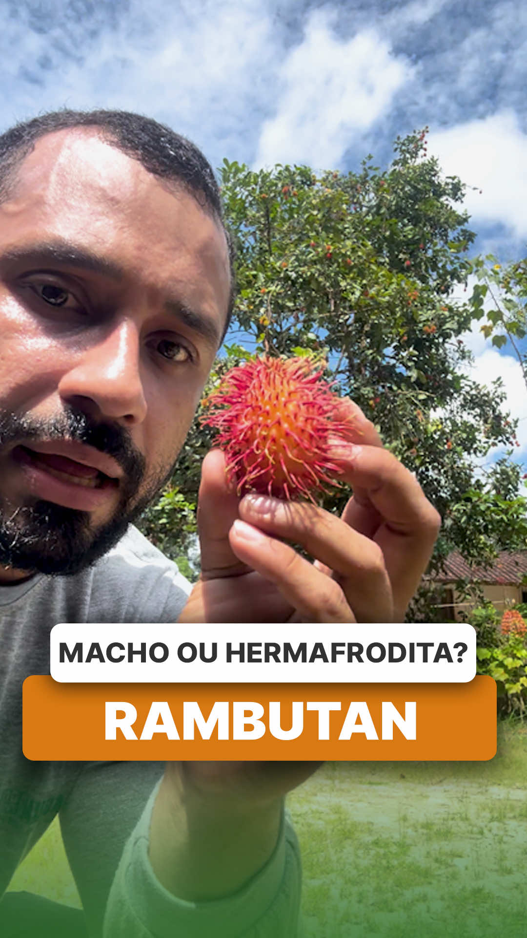 @ViveiroProMudas