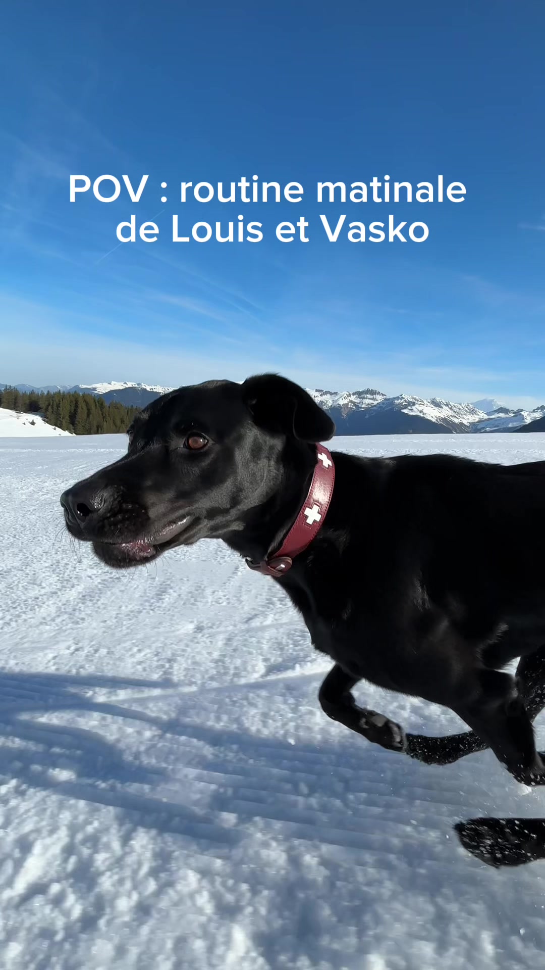 @Courchevel