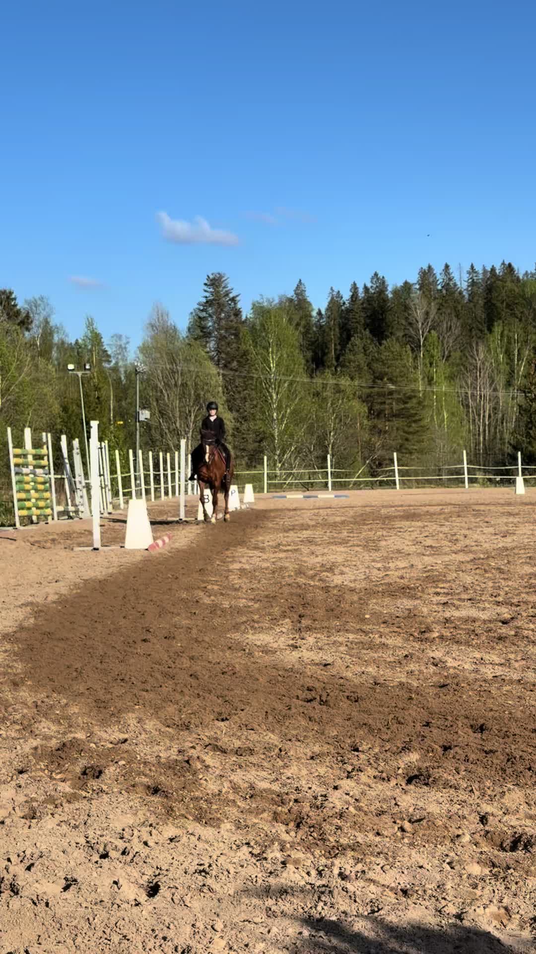 @Afisan matkassa💗