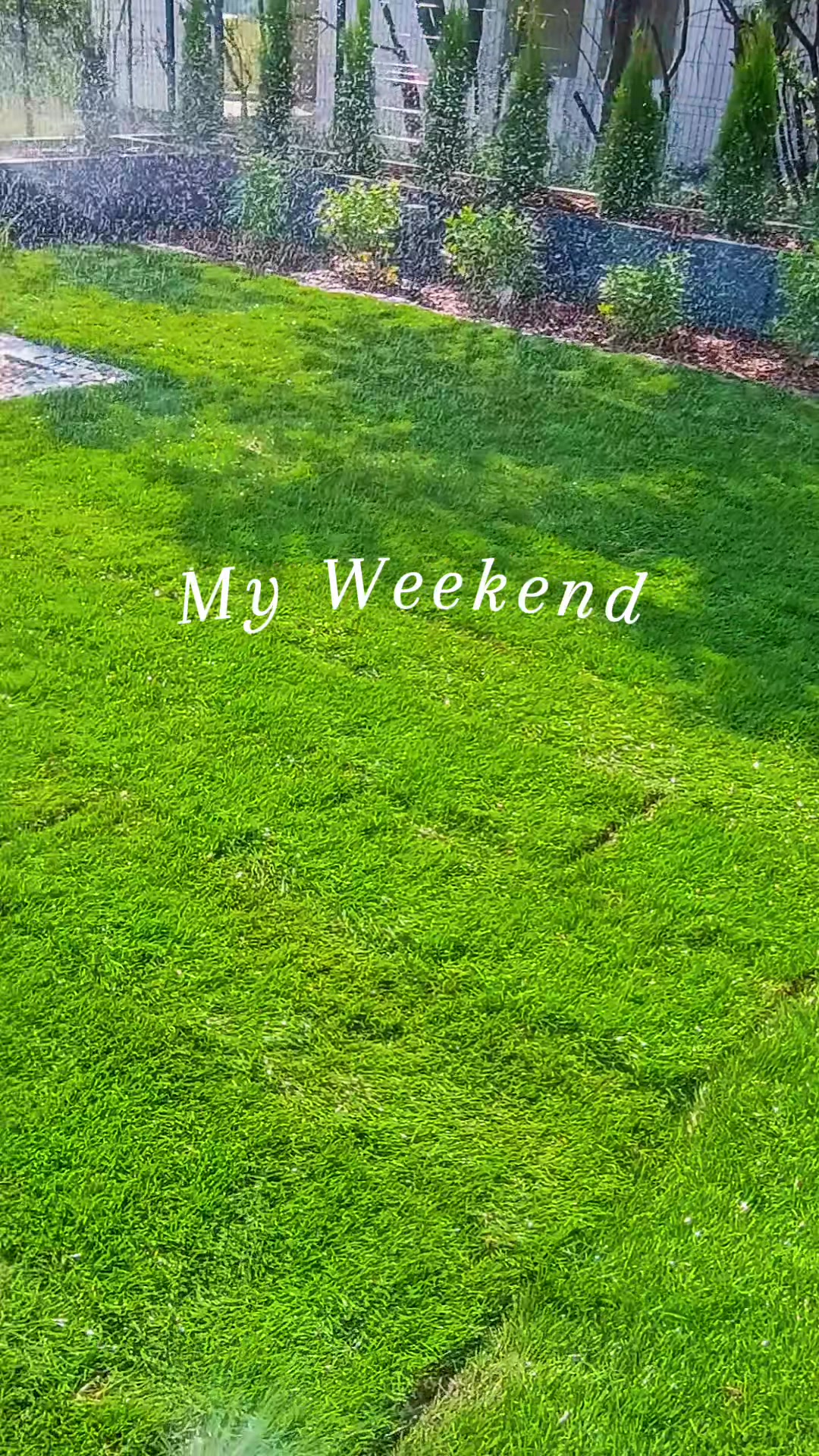 @drylek123