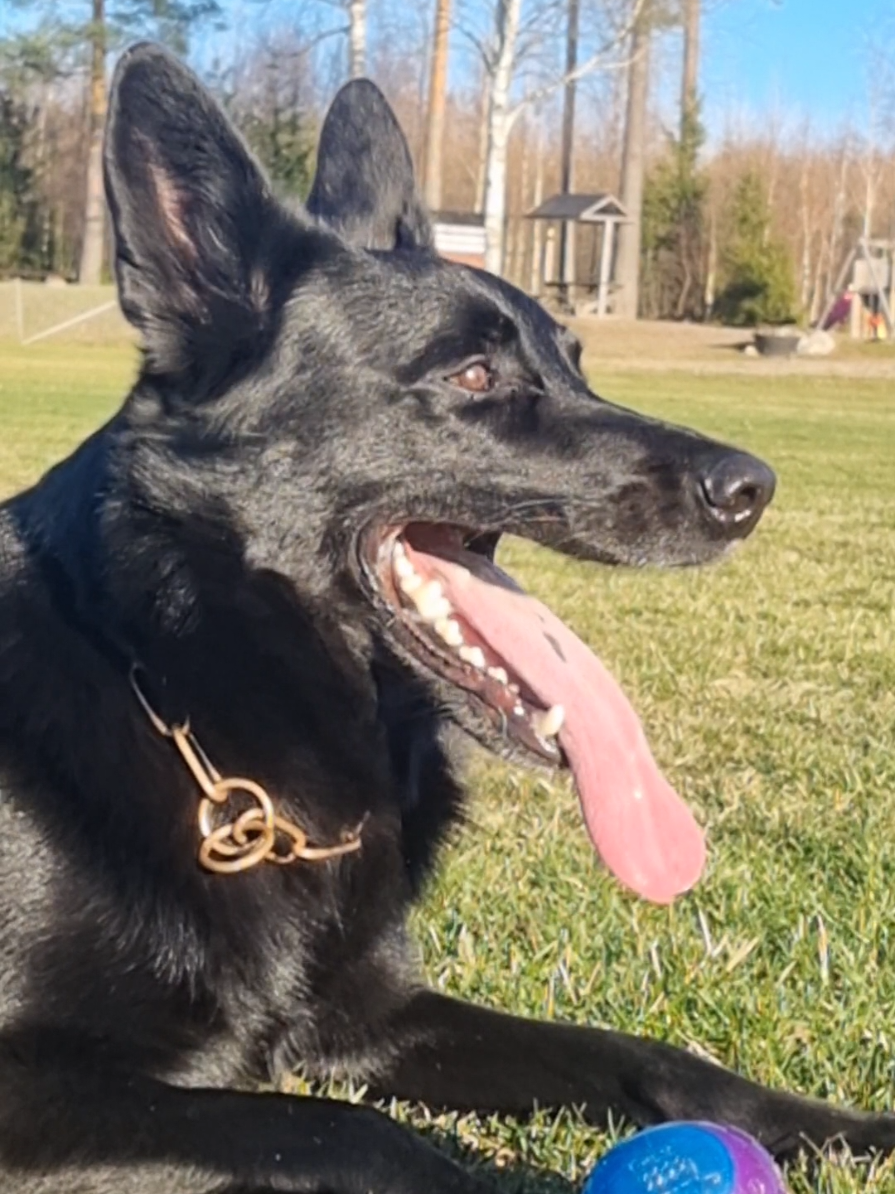 @offbrandgsd