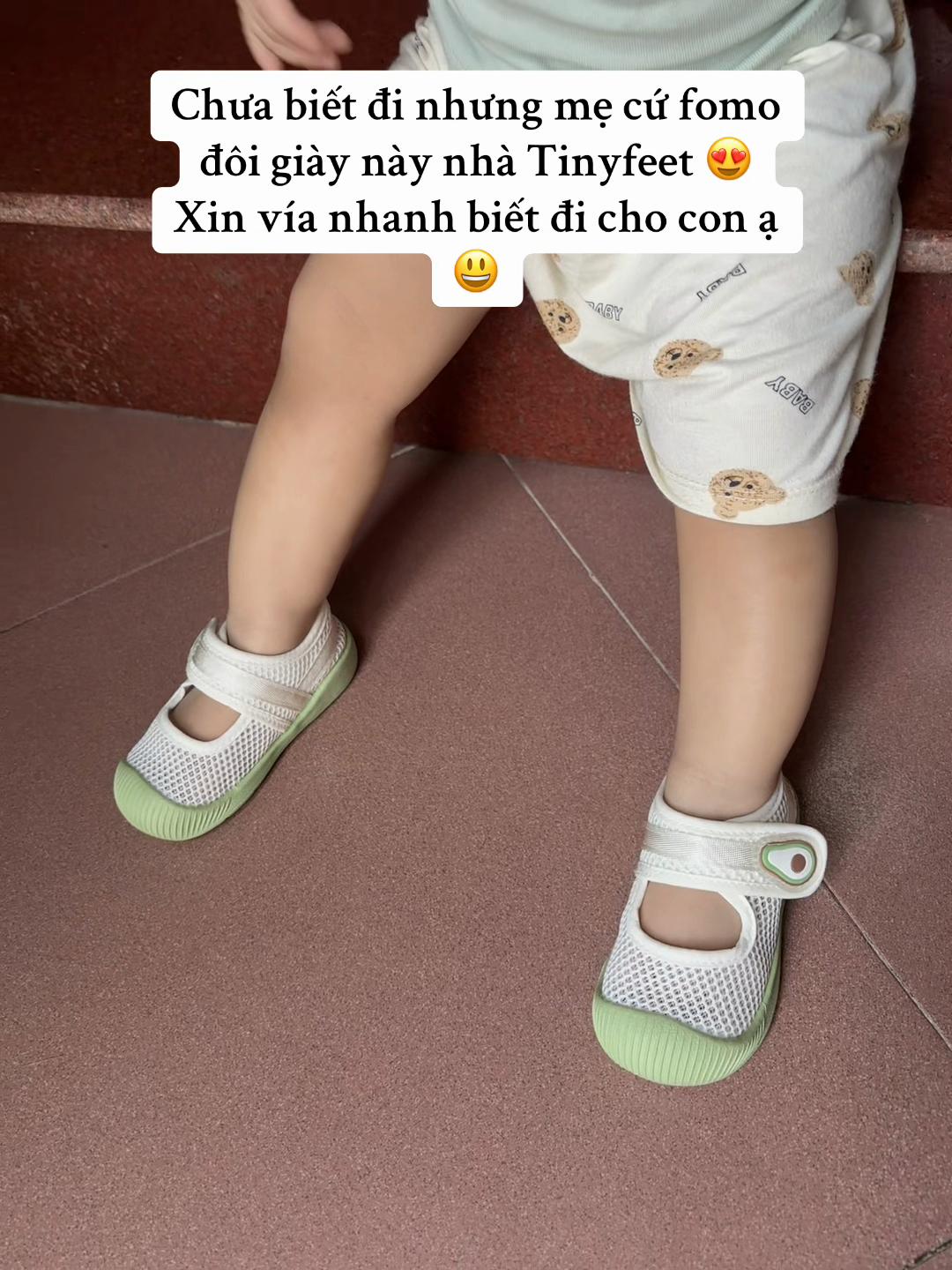 @Cá Heo Cá Voi