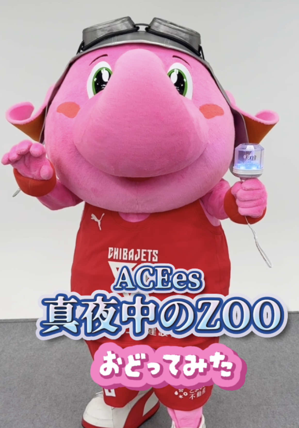 @千葉ジェッツ