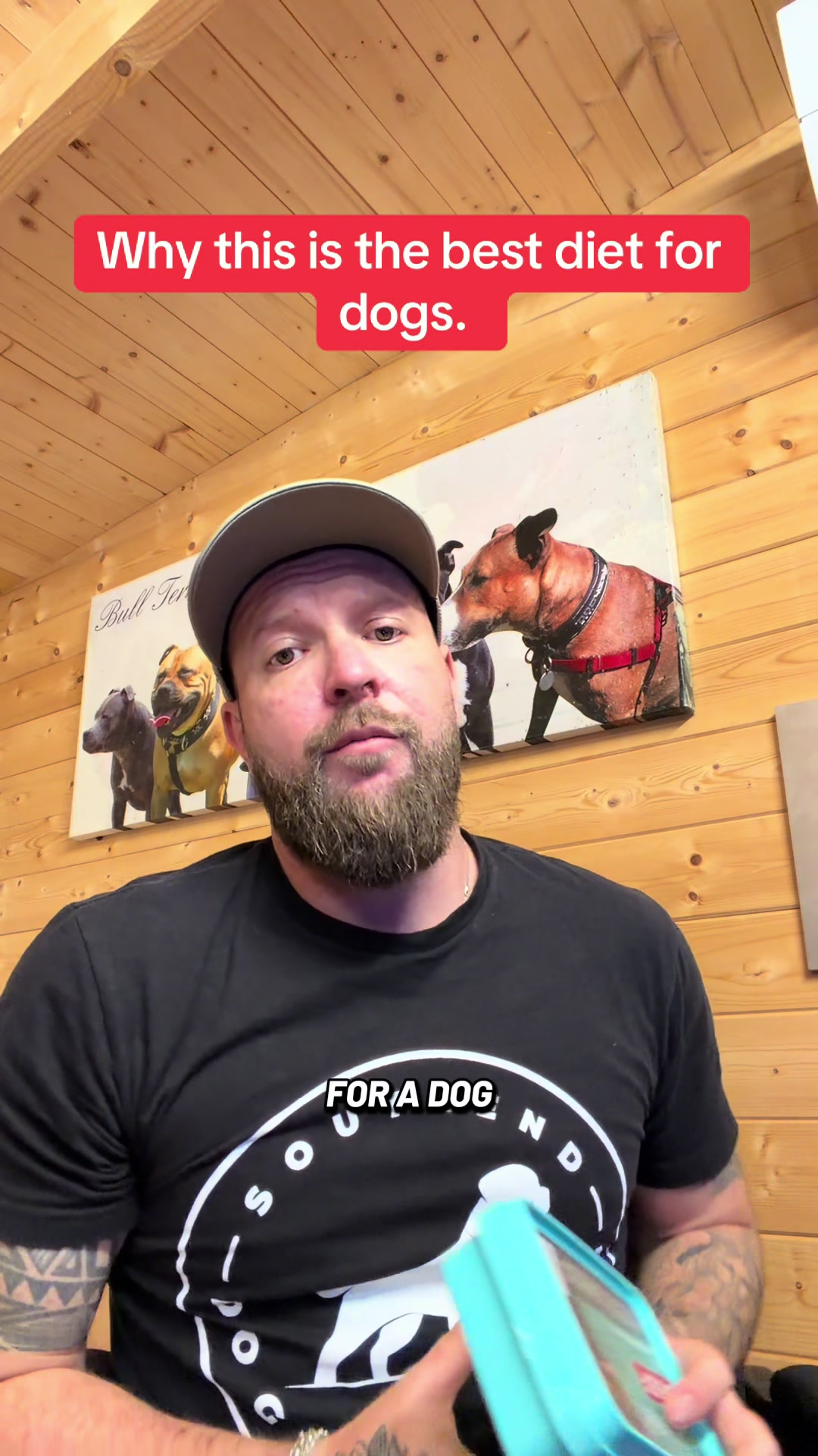 @SouthendDogTraining