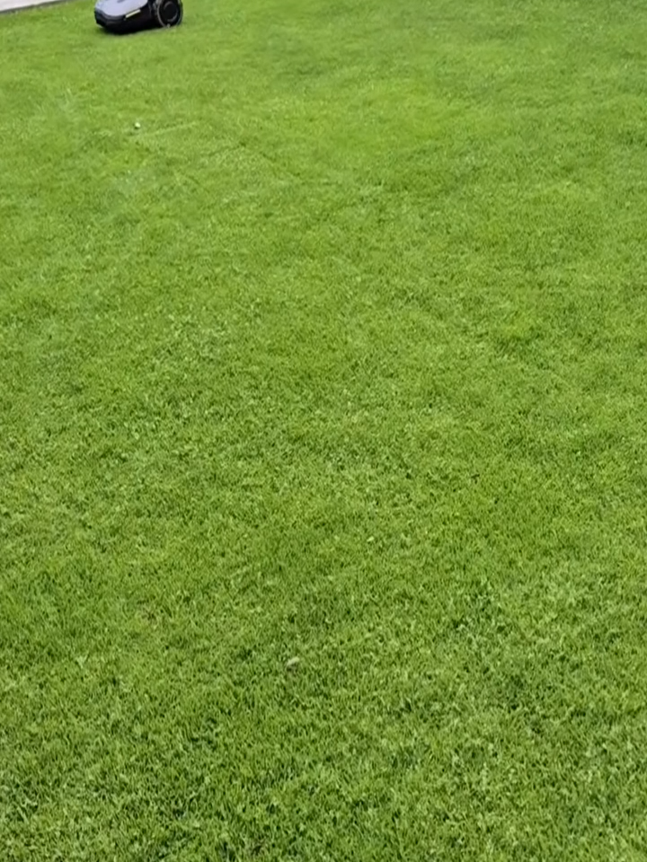 @Xorfee