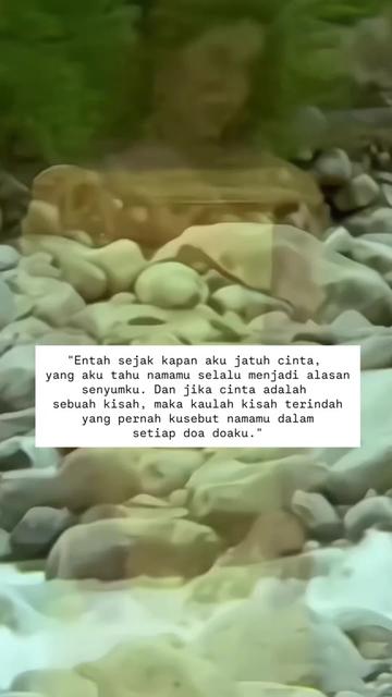 @Papa rakopen