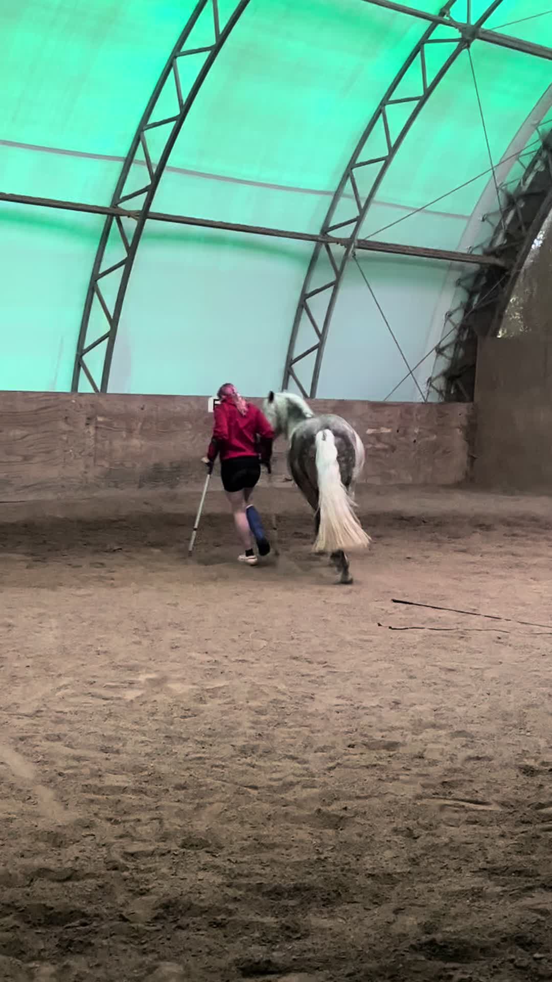 @sunny_the_pony20