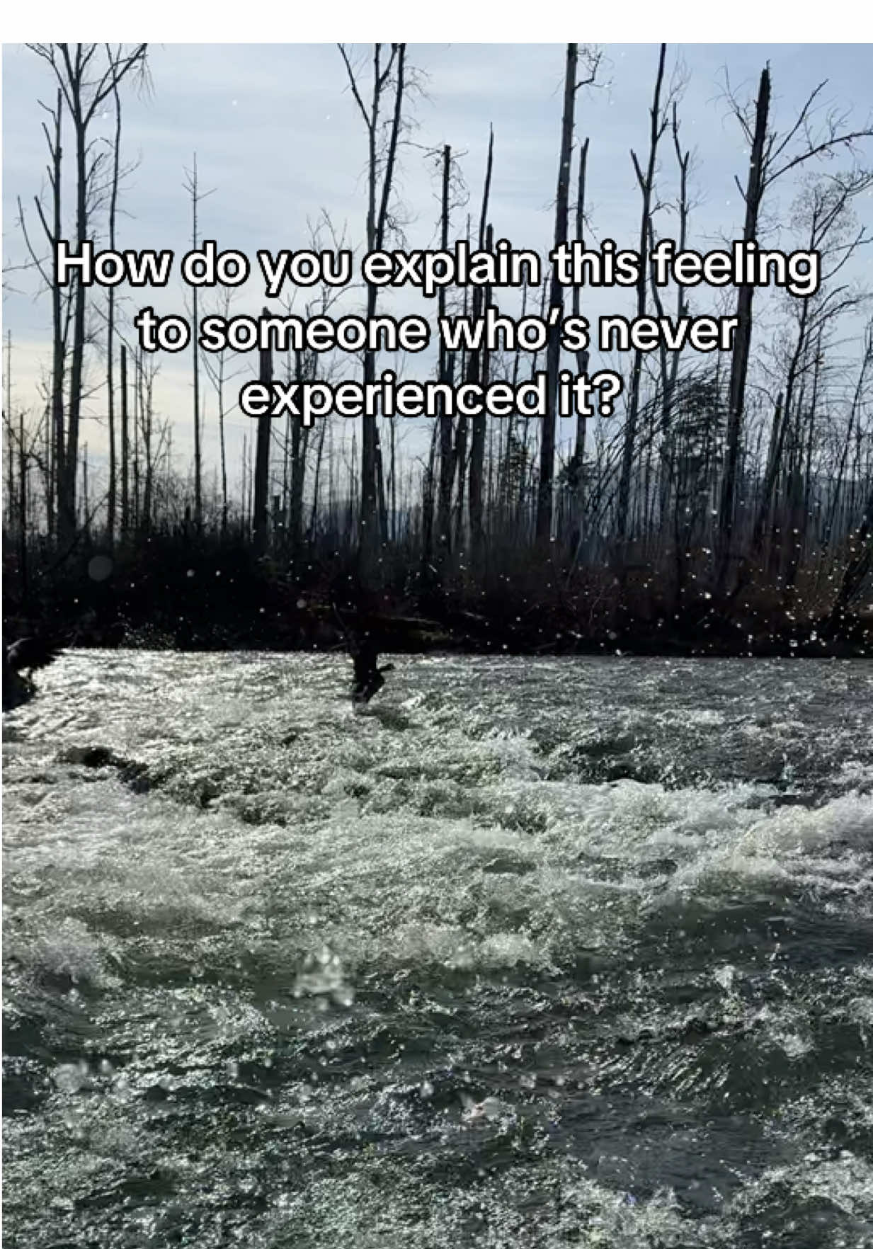 @Carlie Evans
