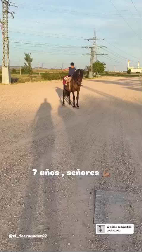 @CUADRA FERN&Aacute;NDEZ 🇦🇿🐎