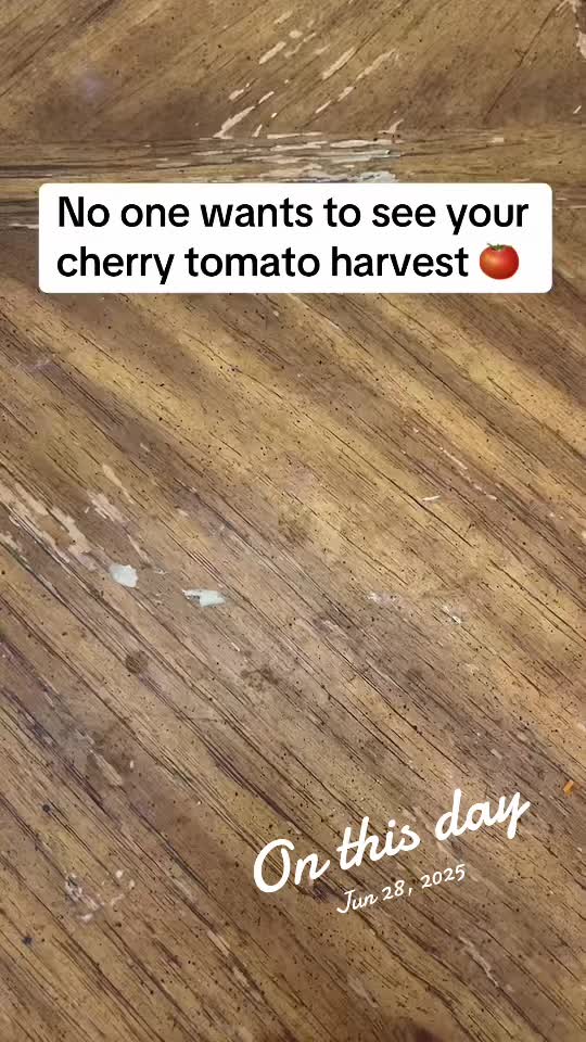 @Jessica Lynn 💜